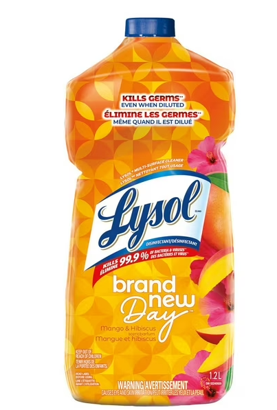 Lysol Brand New Day 1,2l