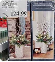 Holiday Topiary with LED Lights
