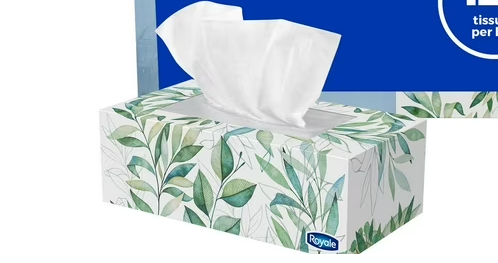 Original 2 Ply Facial Tissue