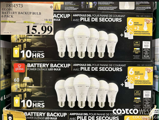 Globe Battery Back Up Power Outage LED Bulb